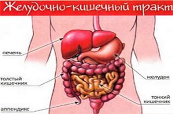 NSP биодобавки для желудка кишечника купить в Минске